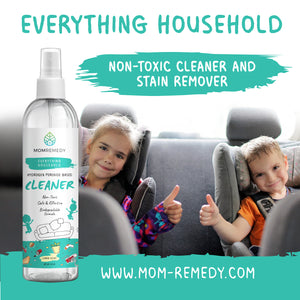 Cleaner & Stain Remover 6oz Travel Size