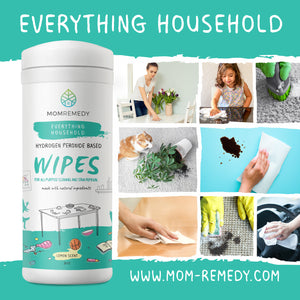 On-the-Go Cleaning Kit
